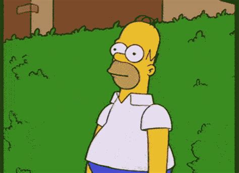 gif homer